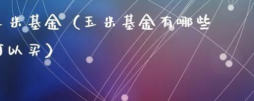 玉米基金(玉米基金有哪些？)