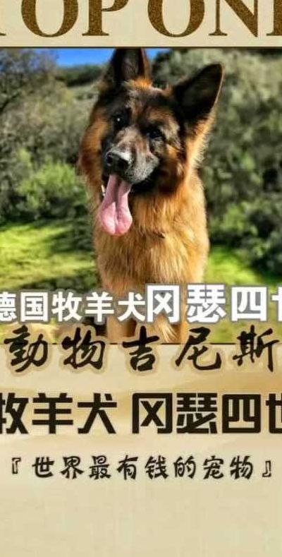 冈瑟四世(世界最有钱萌宠？)