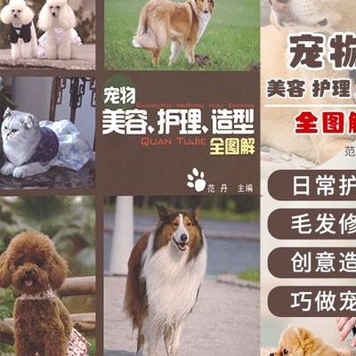 宠物护理(宠物护理名词解释？)