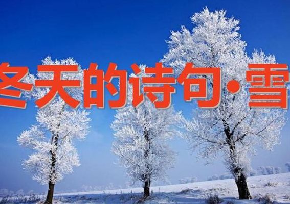 雪的诗句唯美(雪挂在树上优美的诗句？)