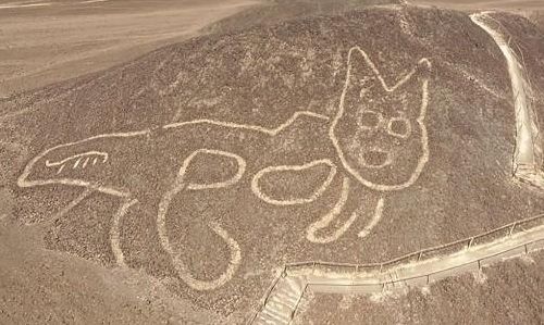 纳斯卡地画(古人为何要在纳斯卡沙漠画远古巨猫呢？)
