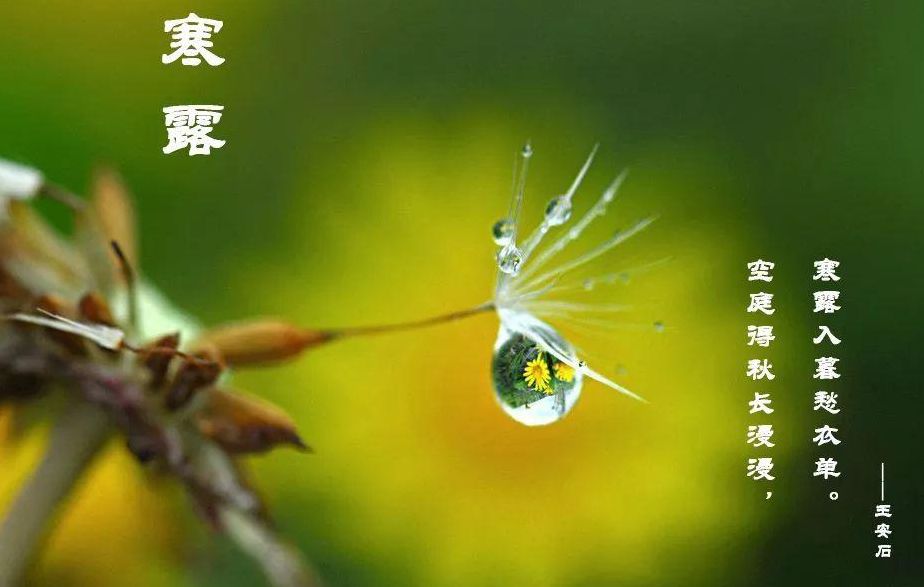 寒露的古诗四句诗(哪一句诗描写了寒露这一节气？)