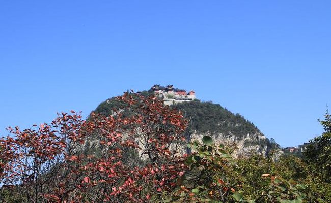 茱萸怎么读(茱萸峰读什么音？)