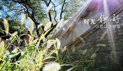 冬日暖阳岁月静好诗句(描写环境岁月静好的诗句？)