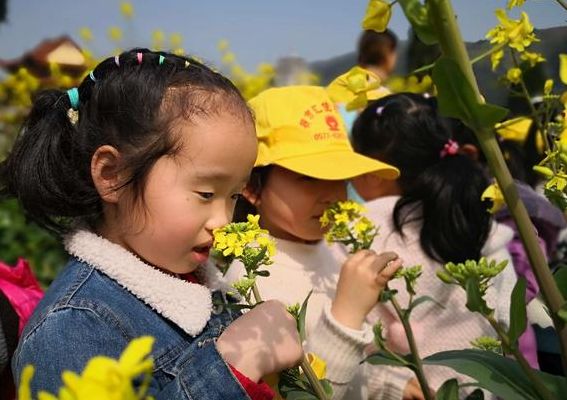 幼儿园清明节活动美篇(与春天有关的研学内容？)