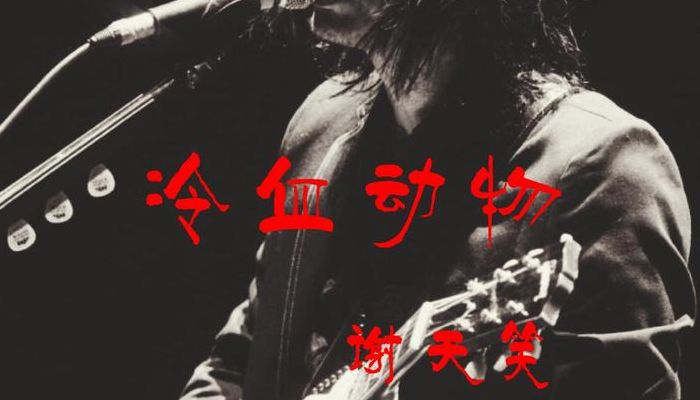 谢天笑冷血动物(谢天笑属于什么档次？)