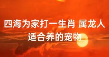 四海为家是什么生肖(四海指什么动物呢？)