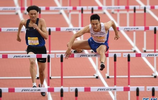 110米栏(110米怎么看标准栏高度？)