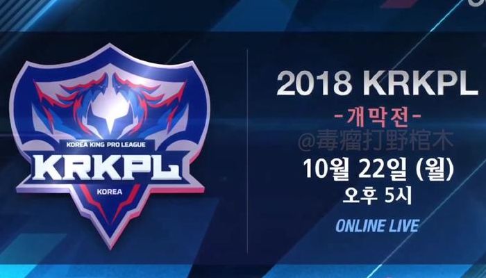 韩国职业联赛(krkpl是什么赛事？)