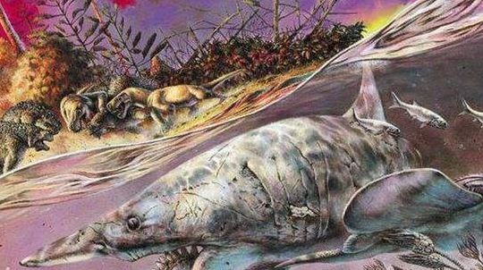科学家发现5.5亿年前海底生物(史前第一个出生在海里生物是什么？)