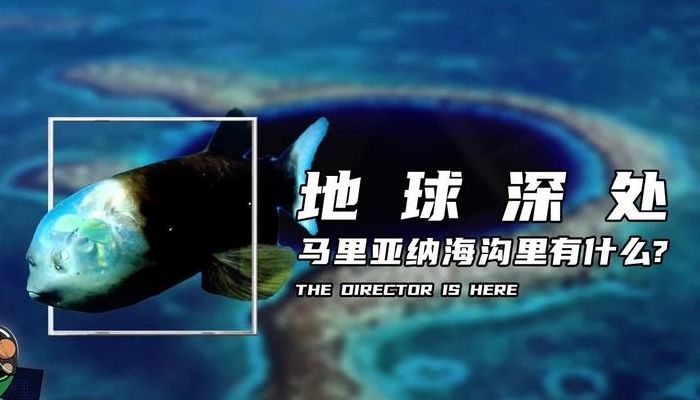 海底十大神秘生物(马里亚纳海沟十大恐怖生物？)