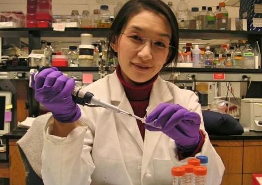刘艳含科学家(刘艳含是什么科学家？)