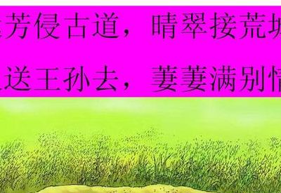 芳草萋萋满别情(萋萋和芊芊的区别？)