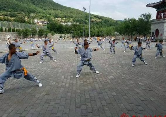 嵩山少林精武院(河南少林文武学校排名？)
