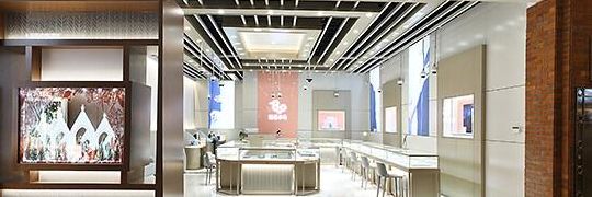 钻石小鸟上海实体店(钻石小鸟和dr哪个好？)