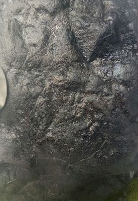 云南陨石(云南黑色素陨石属于哪种陨石类？)