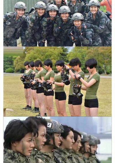 日遍特种兵之火凤凰下载(如何评价《我是特种兵之火凤凰》这部电视剧？)