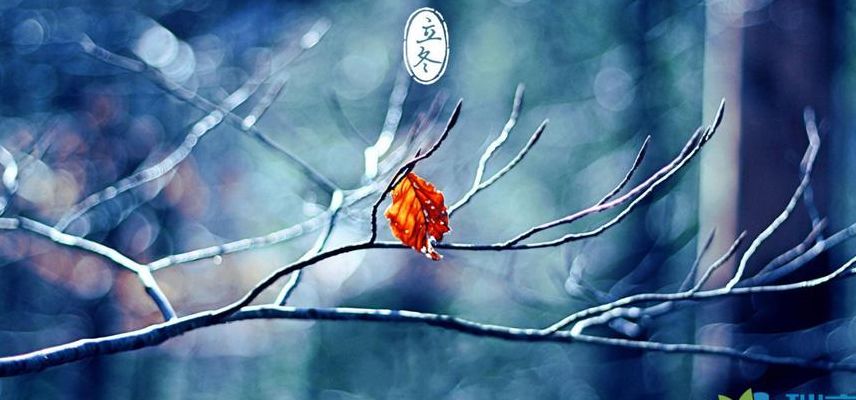 2021年第一场雪的句子(2021立冬又下雪的说说？)