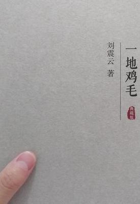 刘震云 一地鸡毛(一地鸡毛赏析？)