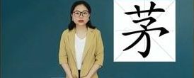 茅组词和拼音(茅字怎么组词？)