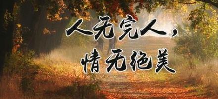 人无完人的下一句(人无完人下一句是什么？)