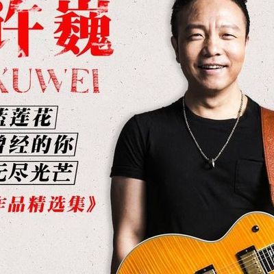 许巍歌曲(许巍五大经典歌曲？)