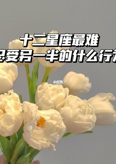三角恋的暧昧(2023金牛座能结束三角关系吗？)