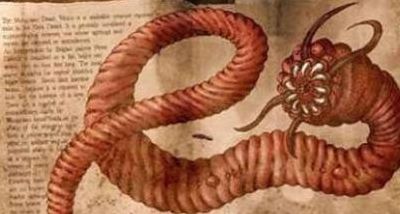 死亡蠕虫的图片大全(十大都市传说怪物分别叫什么？)