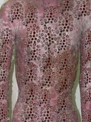 蓬蓬乳吧(莲蓬腿是什么？)