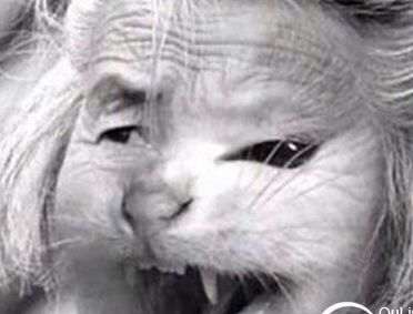 哈尔滨猫脸老太太事件(哈尔滨都市传说？)