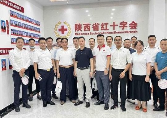 红十字会名誉会长(红十字会的会长一般由谁担任？)