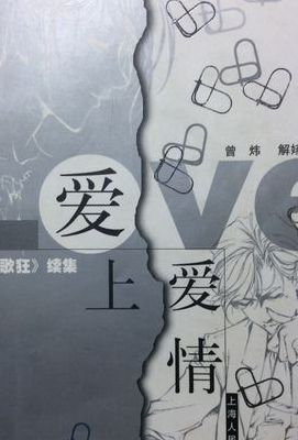 爱上女主播续集小说(有没有类似《大约是爱》的小说？)