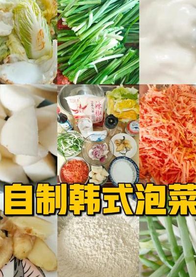 韩国泡菜的制作方法(韩国泡菜腌制方法？)