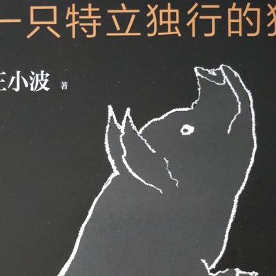 那些特立独行的猪(一只特立独行的猪中的猪性格特征？)