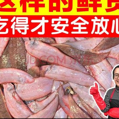 鱼有舌头吗图片(为什么超市卖的鱼没有舌头？)