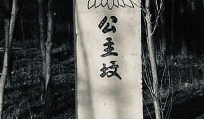 北京公主坟(北京的公主坟有什么故事和来历？)