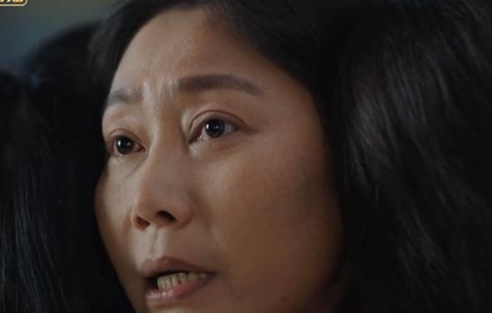 魅影杀机(我在他乡挺好的晶晶的妈妈扮演者？)