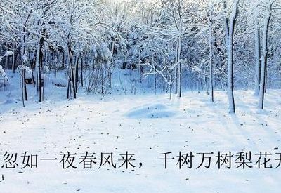 雨打梨花深闭门 千树万树梨花开(细雨梨花原文？)