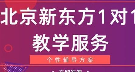 新东方学校一对一外语课事件(新东方一对一的教学咋样？)