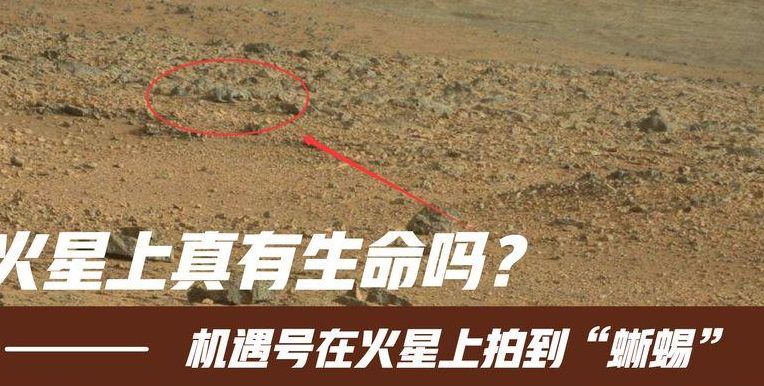 火星蜥蜴(求一部日本早期的宇宙飞船类动漫名称？)
