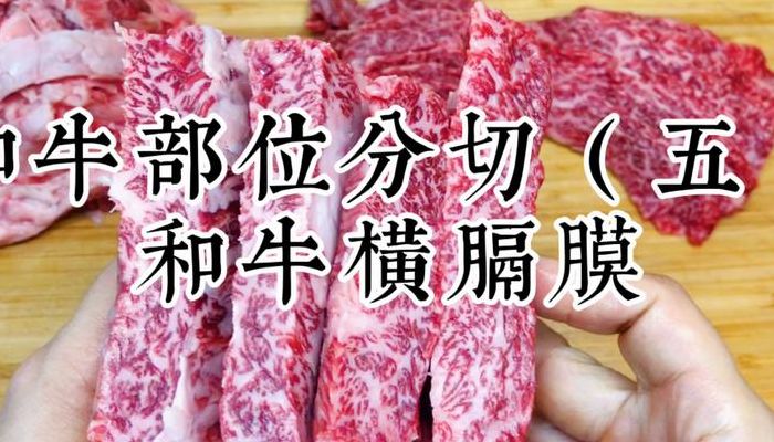 牛横膈膜(牛横隔膜是内脏吗？)