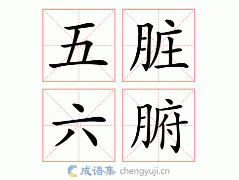 五脏六腑的拼音(五脏六腑的意思？)
