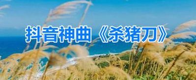 香蕉赛跑(一把杀猪刀歌曲歌词？)