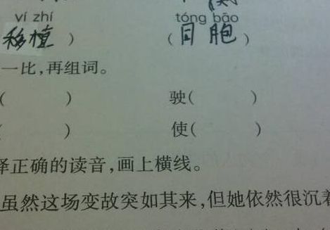摊组词组(摊能组什么词语？)