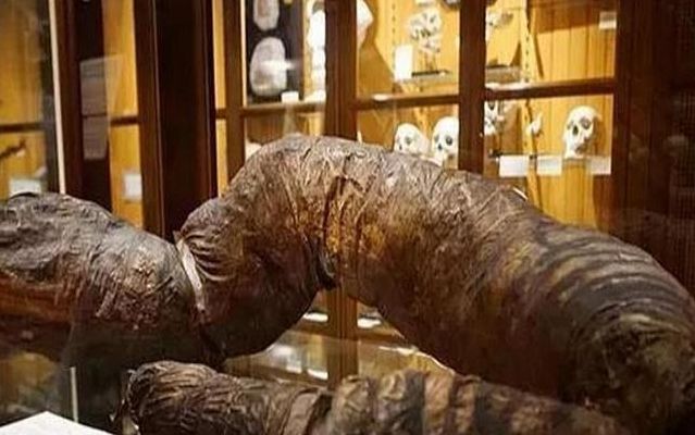 世界上最长的屎(人类最长粪便世界纪录？)