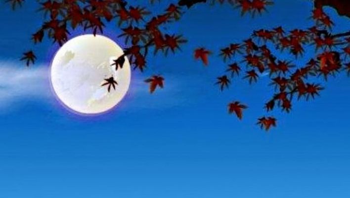 秋空明月悬(秋宵月下有怀的诗意？)