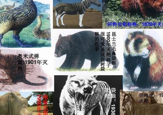 濒危动物(属于濒危物种的有？)