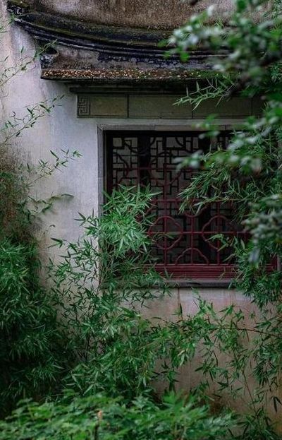 幽雅什么意思(幽雅是什么意思？)