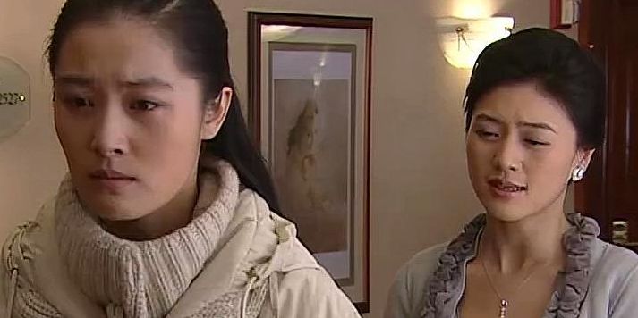 野丫头电视剧(野丫头母女相认是哪一集？)