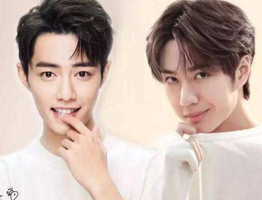 为什么这么多人黑肖战(为什么有些肖战粉丝不喜欢王一博？)